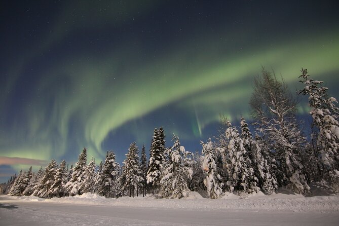 Guided Northern Lights Tour at Kiruna - Cancellation Policy