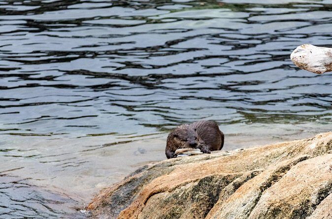Guided Oceanside Private Hike - Why This Tour Stands Out