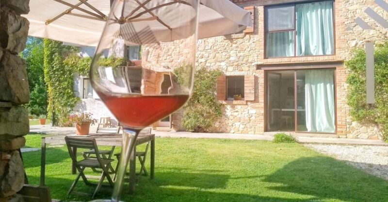 Guided Olive Oil & Wine Tour From Padua - Key Points