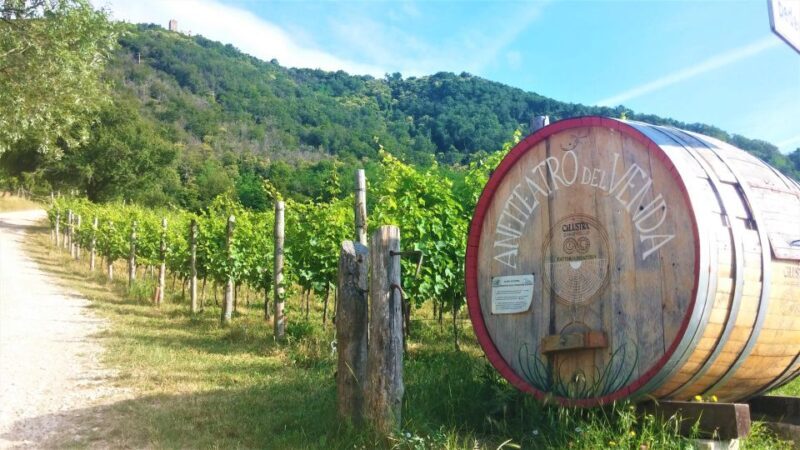 Guided Olive Oil & Wine Tour From Padua - FAQ
