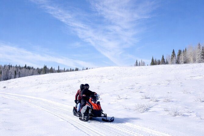 Guided On Trail Snowmobile and UTV Tours Near Rabbit Ears Pass - Introduction: Why This Tour Might Be Your Ideal Winter Escape