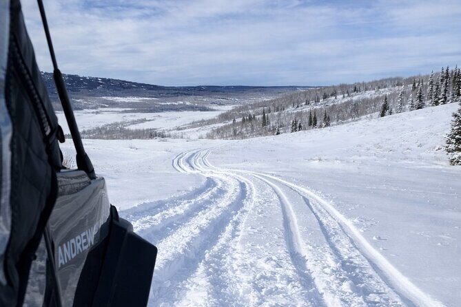 Guided On Trail Snowmobile and UTV Tours Near Rabbit Ears Pass - Analyzing the Value