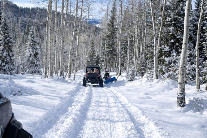 Guided On Trail Snowmobile and UTV Tours Near Rabbit Ears Pass - Who Will Love This Tour?