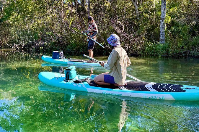 Guided Paddleboard Adventure on Weeki Wachee Springs - The Sum Up: Is This Tour Worth Your Time?