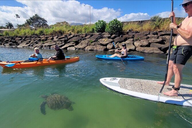 Guided Paddleboard and Kayak Tour on the Anahulu River - Key Points