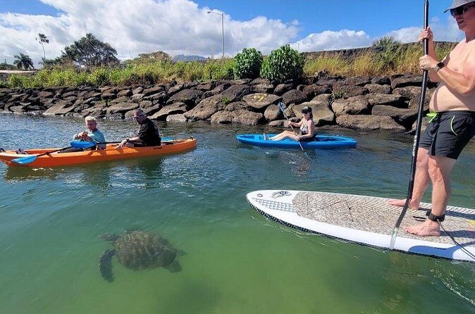Guided Paddleboard and Kayak Tour on the Anahulu River - Final Thoughts