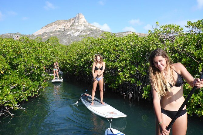 Guided paddleboarding (SUP) mangrove ECO tour for beginners - Key Points