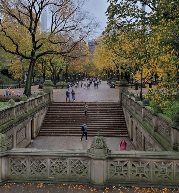 Guided Pedicab Tour in Central Park - Introduction