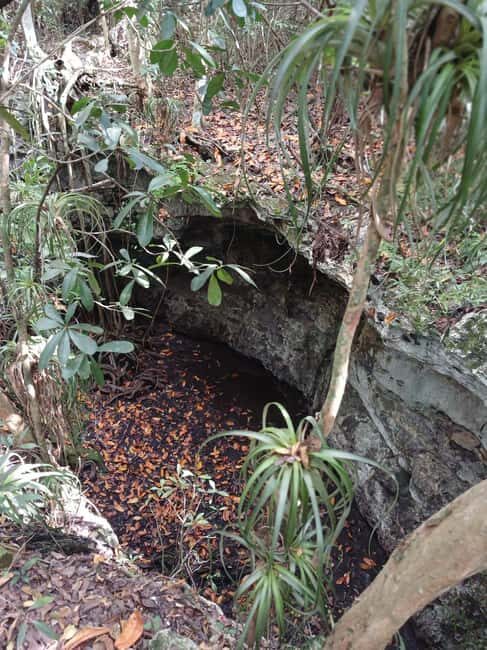 Guided Primeval Nature Walk Tour - Clifton Heritage National Park and the Oldest Slave Village