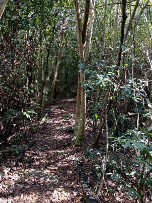 Guided Primeval Nature Walk Tour - Jaws Beach: The Perfect Relaxation Spot