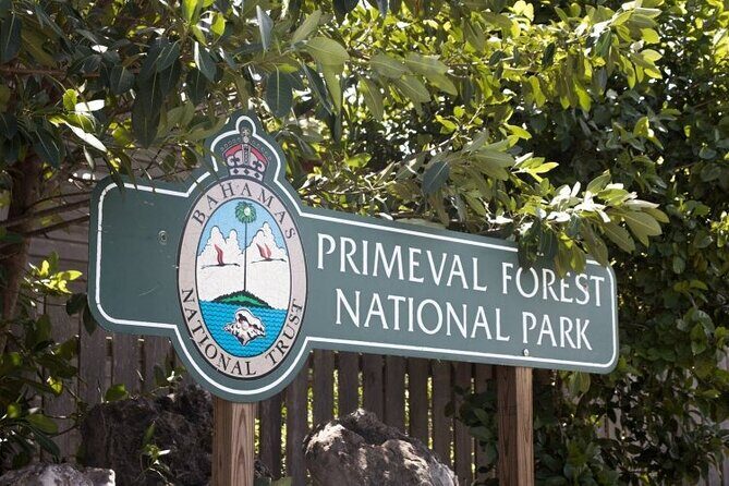 Guided Primeval Nature Walk Tour in Primeval Forest National Park - Key Points