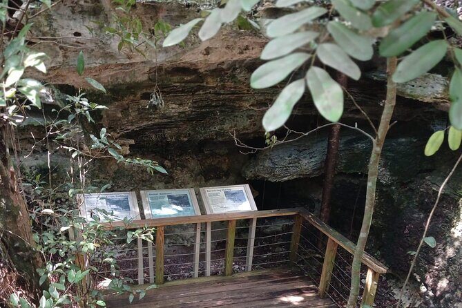 Guided Primeval Nature Walk Tour in Primeval Forest National Park - Stop 5: Arawak Cay