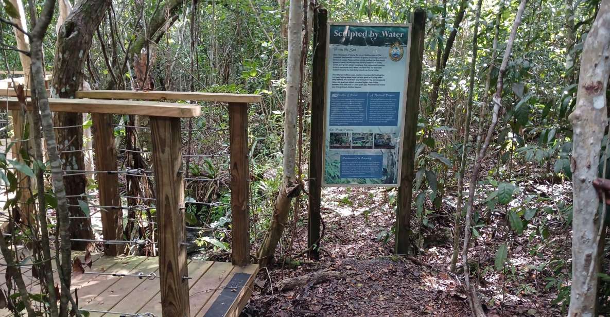 Guided Primeval Nature Walk Tour - Key Points