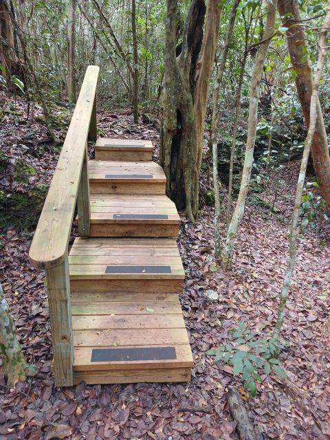 Guided Primeval Nature Walk Tour - Pickup Options and Pricing