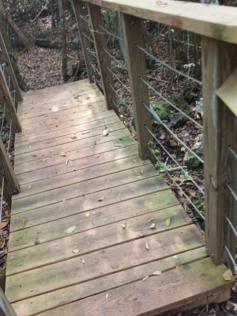 Guided Primeval Nature Walk Tour - Primeval Cave Exploration