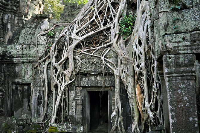 Guided Private A/C Vehicle Tour Angkor Wat and Small Circle and Five Extras - Guest Reviews and Feedback