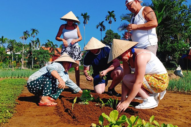 Guided Private Hoi an Countryside Tour - Inclusions and Amenities