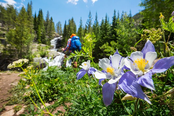 Guided Private Scenic Colorado Mountain Hiking - Half Day - Good To Know