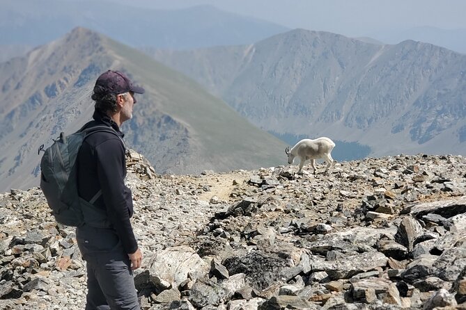 Guided Private Scenic Colorado Mountain Hiking - Half Day - Pricing Details and Options