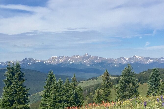 Guided Private Scenic Colorado Mountain Hiking - Half Day - Reviews and Customer Feedback