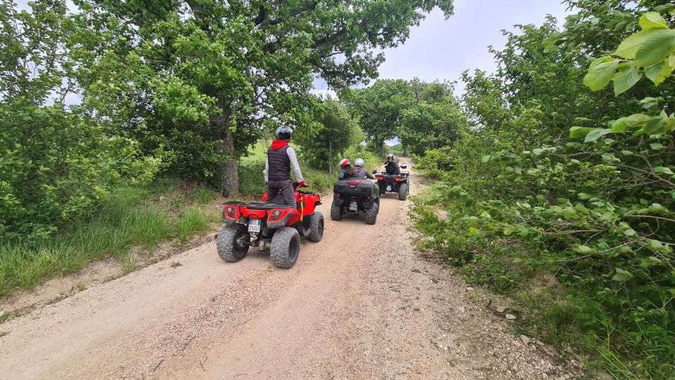 Guided Quad Tour With Aperitif in the Woods - Key Points