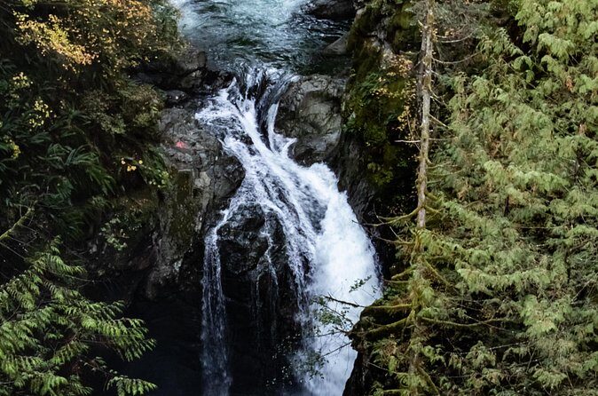 Guided Rainforest & Suspension Bridge Private Hike - What Makes This Tour Stand Out?