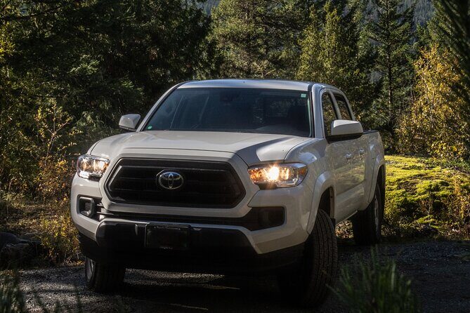 Guided Rainforest & Suspension Bridge Private Hike - Authentic Experiences & Reviews