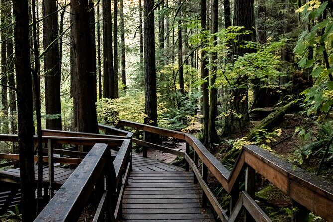 Guided Rainforest & Suspension Bridge Private Hike - FAQ