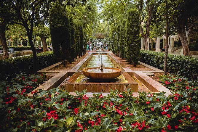 Guided Route and Visit to the Cathedral of Palma (2h) - Tour Reviews and Feedback