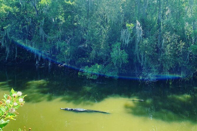 Guided Safari-Style Jeep Tour - Inclusions and Amenities