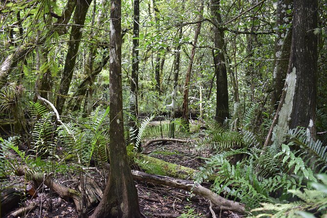 Guided Safari-Style Jeep Tour - Traveler Reviews