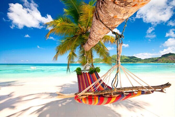 Guided Saona Island Tour in Punta Cana - Key Points