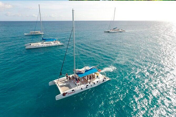 Guided Saona Island Tour in Punta Cana - Authentic Experiences and Reviews