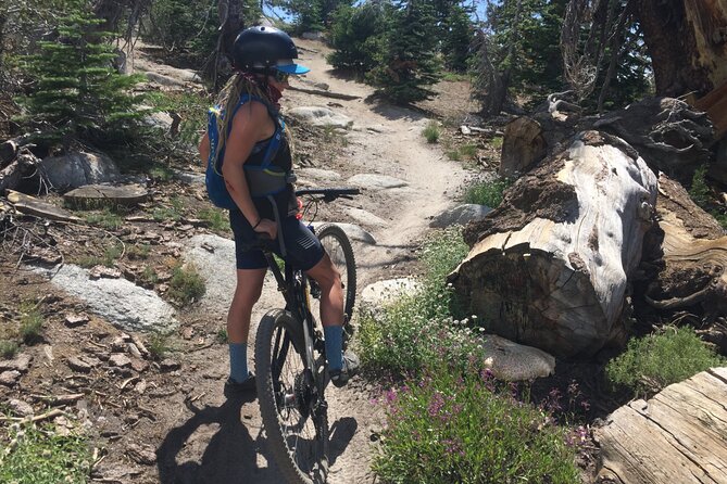 Guided Scenic Bike Experience Review - Capturing the Breathtaking Scenery