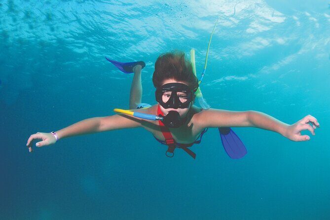 Guided Scuba Diving in Cabo Pulmo - Introduction