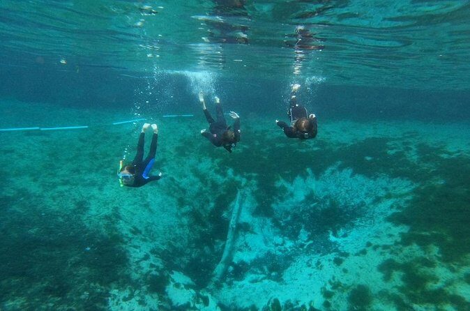 Guided Semi-Private Snorkel Tour (w/ FREE Photos!) - Who Will Love This Tour?