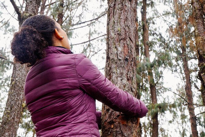 Guided Shared Group Forest Bathing Session in Serene Woodland Park - Arriving at the Meeting Point