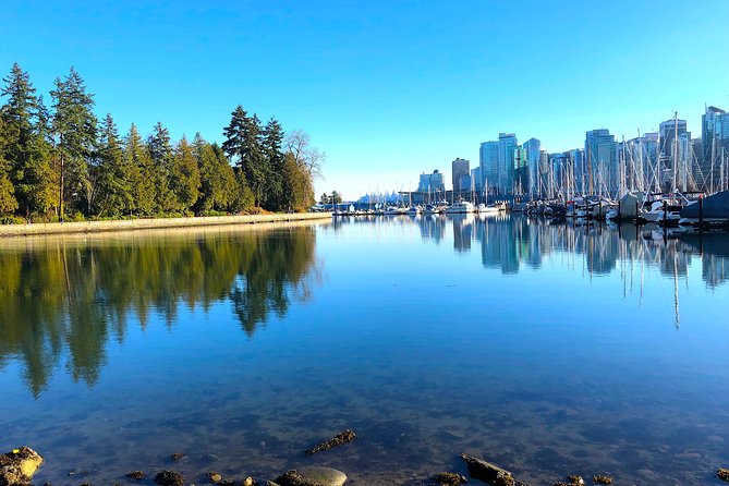Guided Sightseeing Tour in Vancouver, Shannon Falls and Whistler - Experience at Shannon Falls