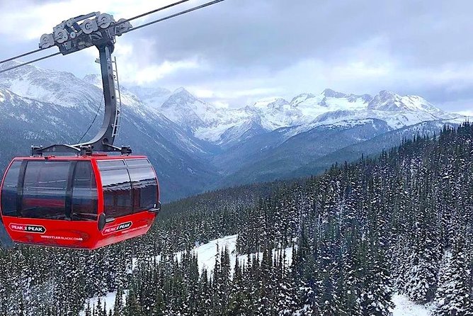 Guided Sightseeing Tour in Vancouver, Shannon Falls and Whistler - Health and Safety Measures