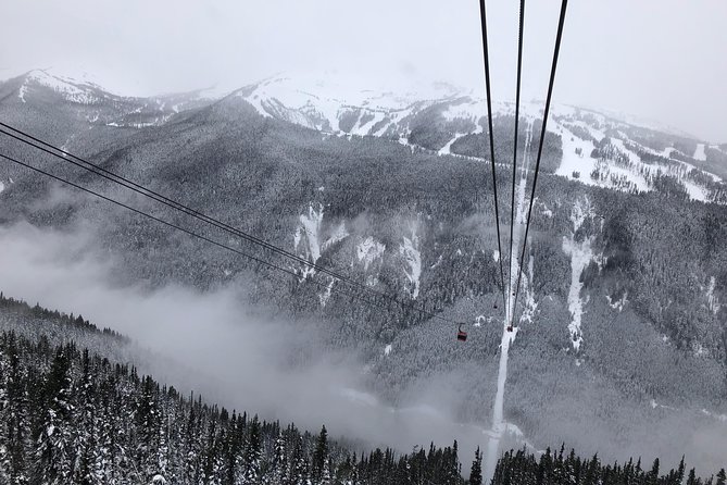 Guided Sightseeing Tour in Vancouver, Shannon Falls and Whistler - Booking and Cancellation Policy