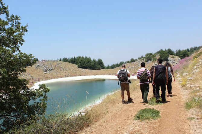 Guided Small Group to Cedars Reserve & Beiteddine W/Lunch+Entries - Local Cuisine Experience