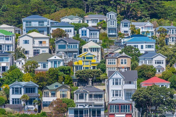 Guided Small Group Walking Tour in Wellington - What Travelers Say