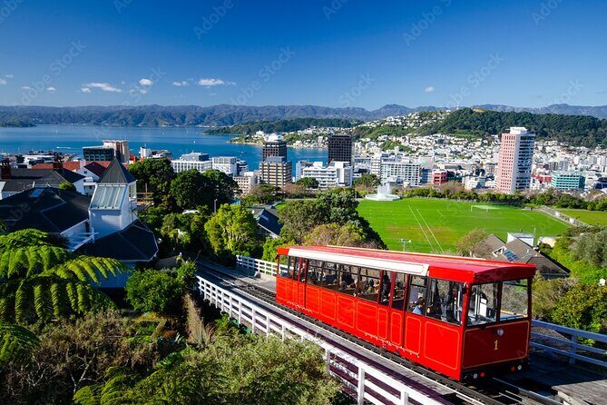 Guided Small Group Walking Tour in Wellington - FAQs