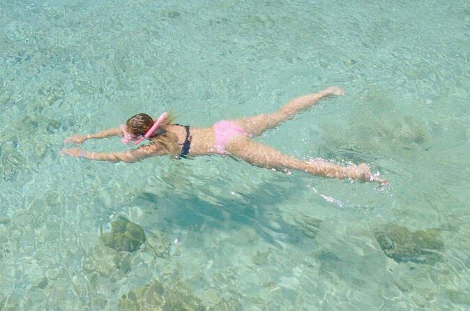 Guided Snorkel Tour at the Best Reef from shore on Curacao - Blue Bay Beach - Practical Details: Pricing, Booking, and Group Size