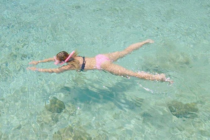 Guided Snorkel Tour at the Best Reef from shore on Curacao - Blue Bay Beach - Who Should Consider This Tour?