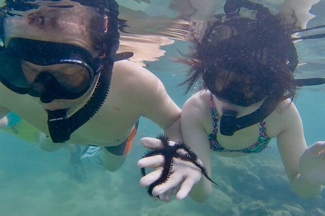 Guided Snorkel Tour for Beginners in Honolulu - Meeting Point