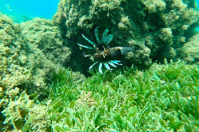 Guided Snorkeling adventure in San Juan - The Experience for Different Travelers
