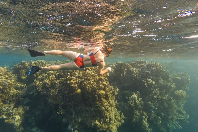 Guided Snorkeling Adventure in West Bay - The Snorkeling Experience