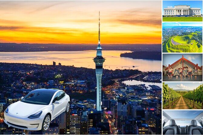 Guided Snorkeling and Island Exploration in Auckland - Practical Details and Tips