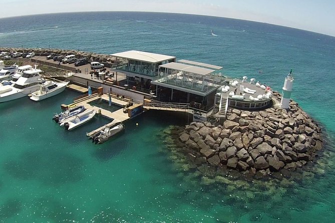 Guided Snorkeling Experience in Caleta De Fuste Review - Meeting and Logistics